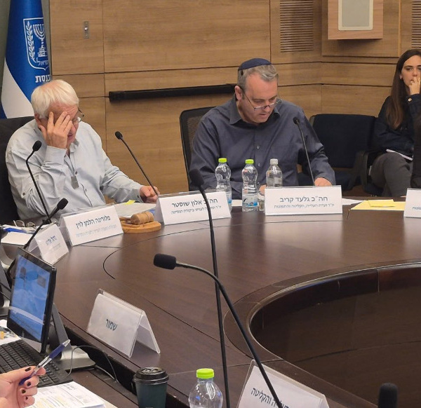 Israel estudia ampliar la ayuda para soldados solitarios tras el servicio militar