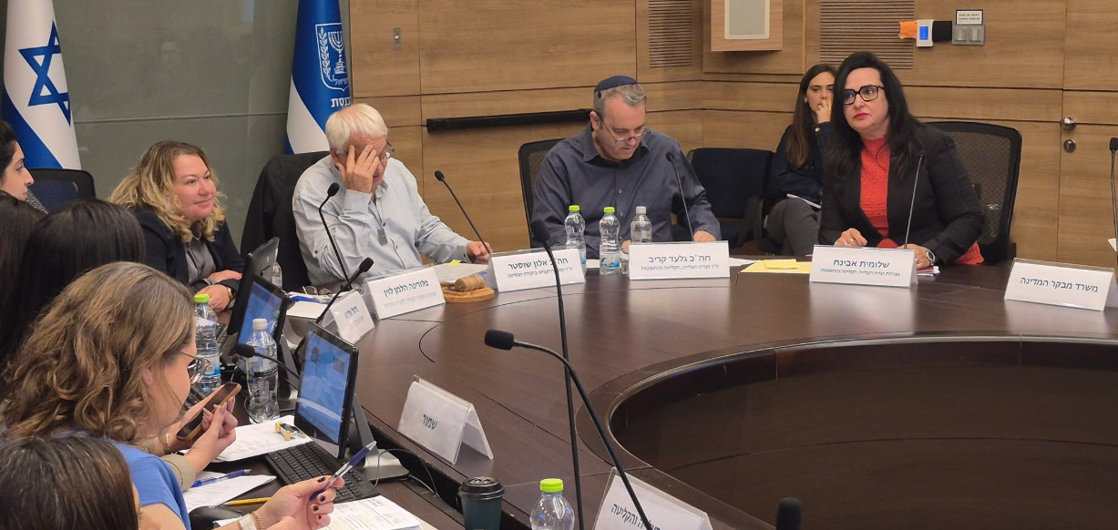 Israel estudia ampliar la ayuda para soldados solitarios tras el servicio militar